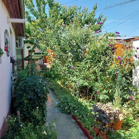 Vila Casa Calin Tulcea Exteriér fotografie